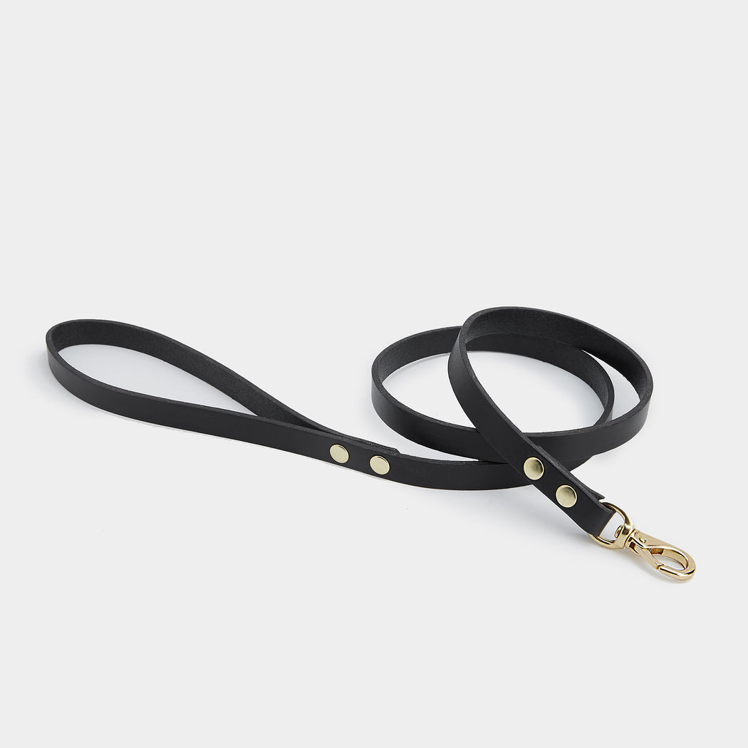 INU leash XS